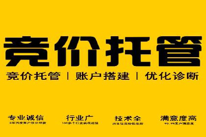 SEM托管服务案例分享：优化策略，提高ROI